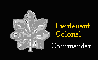 Lieutenant Colonel