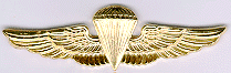 Senior Parachutist